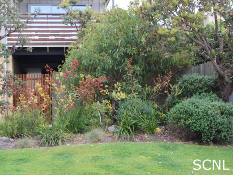 Sunshine Coast Native Landscapes